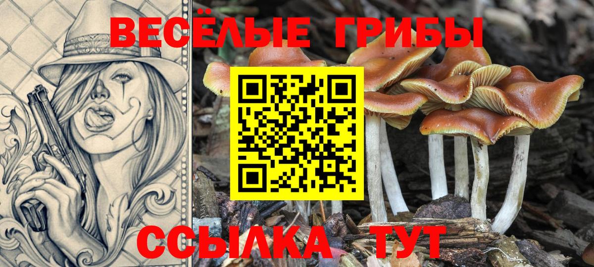 Псилоцибиновые грибы MAGIC MUSHROOMS Белая Калитва